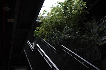 0B02C0B2-A4D5-4CD4-9E73-707A52A18439/L0/001