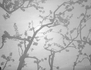 P2150205