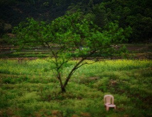 DJI_0034