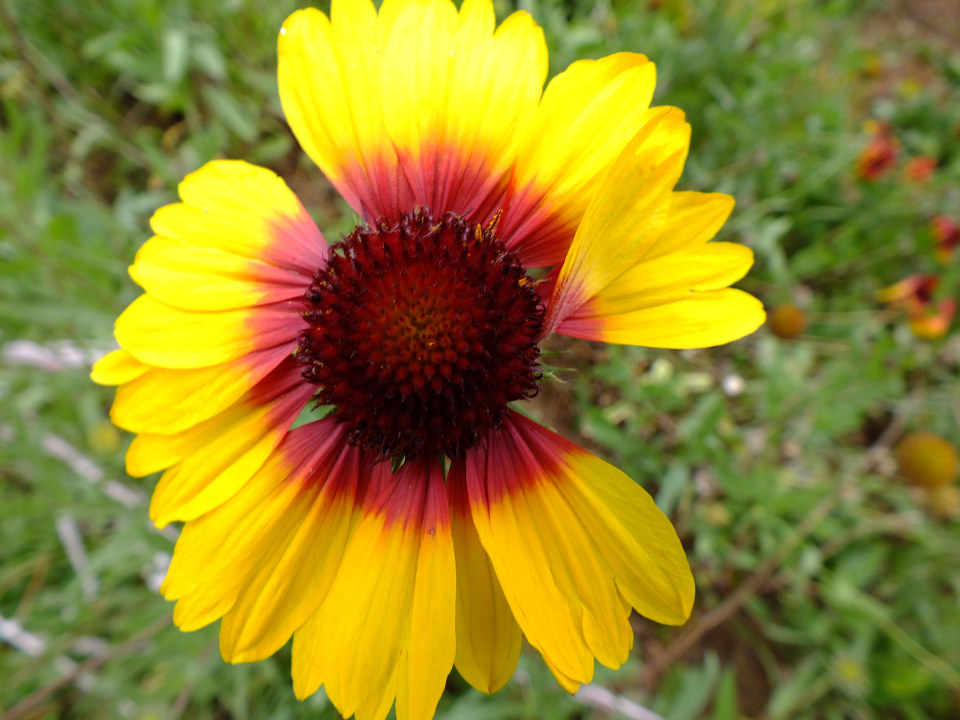 DSCF0340.JPG