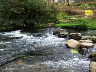 DSCF0321.JPG