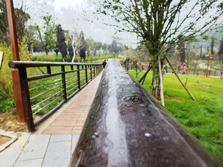 DSCF0329.JPG