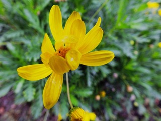 DSCF0336.JPG