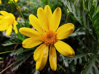 DSCF0337.JPG
