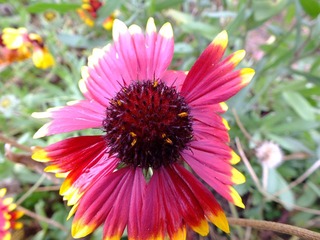 DSCF0342.JPG