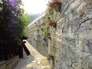 DSCF1270.JPG