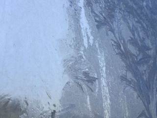 DSCF1878.JPG