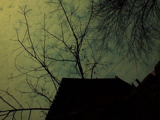 DSCF3107.JPG