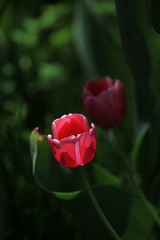 IMG_4408_nEO_IMG.jpg