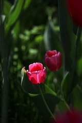 IMG_4410_nEO_IMG.jpg
