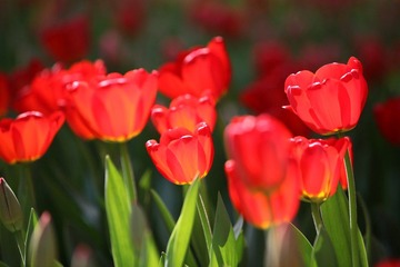 IMG_3715_nEO_IMG.jpg