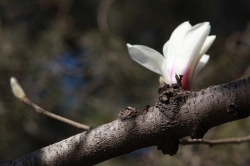 IMG_2555_nEO_IMG.jpg