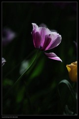 nEO_IMG_IMG_4092.jpg