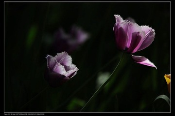nEO_IMG_IMG_4094.jpg