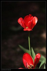 nEO_IMG_IMG_4167.jpg