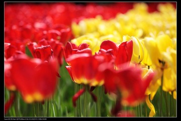 nEO_IMG_IMG_4249.jpg