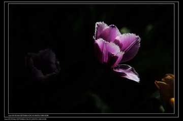 nEO_IMG_nEO_IMG_IMG_4089.jpg