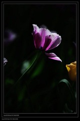 nEO_IMG_nEO_IMG_IMG_4092.jpg