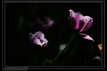 nEO_IMG_nEO_IMG_IMG_4094.jpg