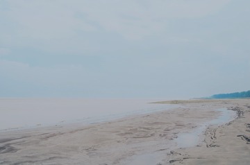 554683