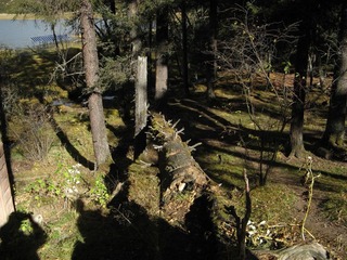 159.JPG