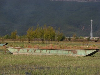 240.JPG