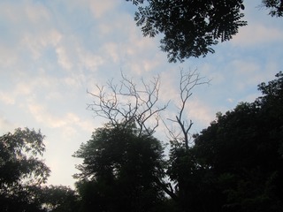 28071