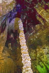 AAF90E91-A328-4D9A-A24E-DD835CA26E17/L0/001