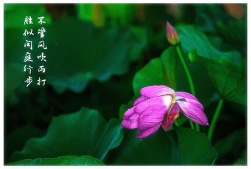 3DDAF254-C53E-42F3-9074-BBE3B972B68E/L0/001