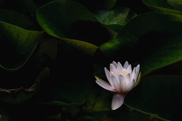 001