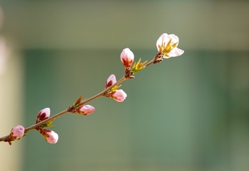 001