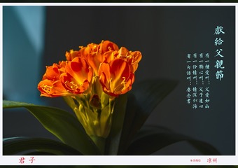 0526C8E7-3650-4066-810A-DB31F816481C/L0/001
