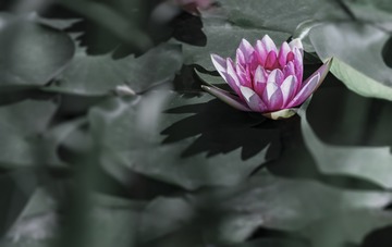 46068D50-8087-4473-B834-AC8046C67FD1/L0/001