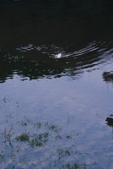 9565D27B-E0BC-4EC4-9DFB-005AF6D70990/L0/001