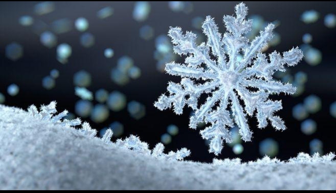 雪一片一片一片