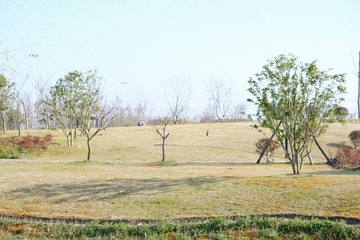 9CF35F42-4D93-405C-AE1C-AC514F54CDBD/L0/001