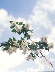 0A3BCAAA-B8B8-4E21-BE4E-6EBE337A593E/L0/001