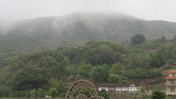 300861