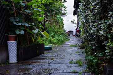 小河-14
