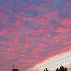 0E6C743B-1CD1-4DCB-90EA-FB5C81DDC169/L0/001