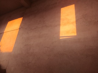 245481