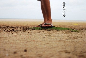 最后一片绿