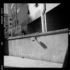 SubstandardFullSizeRender(17)