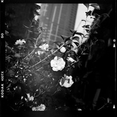 IMG_5652(20170317-223822)