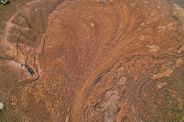 SDIM0060.jpg