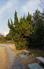20140306002
