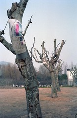 20140306009