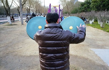 20140306017