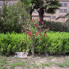 20140405003