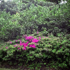 20140505011
